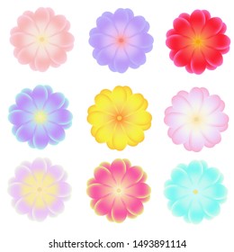 Vector isolated flowers set. Clip art for banners, invitations and other design