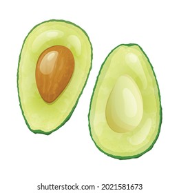 Vector isolated food illustration with two avocado halves and a seed inside. Healthy natural nutritious fruit.