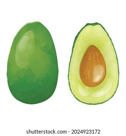 Vector isolated food illustration with two avocado halves and a seed inside. Healthy natural nutritious fruit.