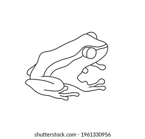 Vector Isolated Frog Line Drawing. Cute Catroon Frog Contour Line Outline Sketch