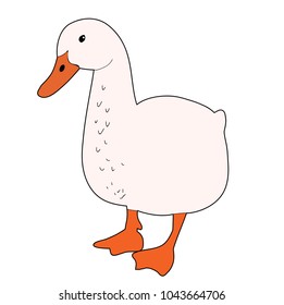 vector, isolated goose, duck on white background