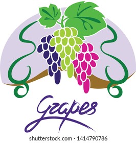 Vector isolated grapes illustration with lettering