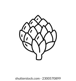 Vector Isolated Graphic Artichoke Hand Drawn Illustartion