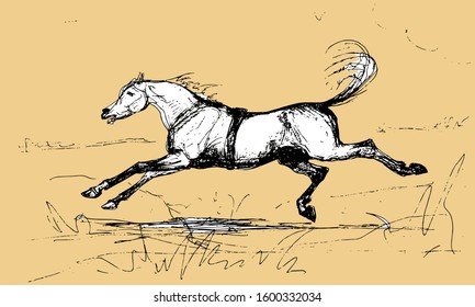 vector isolated graphic drawing on beige background, horse galloping across the field