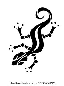 Vector isolated graphic salamander