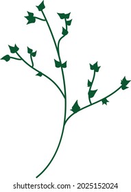 Rama verde aislada del vector con hojas pequeñas y afiladas. El tallo de la decoración. Elemento botánico
