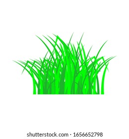 Vector de pasto verde aislado contra fondo blanco. Ilustración vectorial.