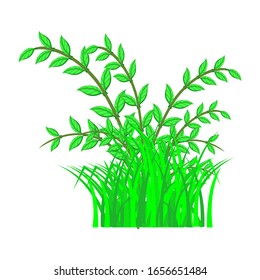 Vector of an isolated green plant and grass against a white background. Vector illustration.