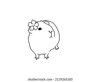 Vector isolated guinea pig with a flower behind his ear colorless black and white black line contour drawing