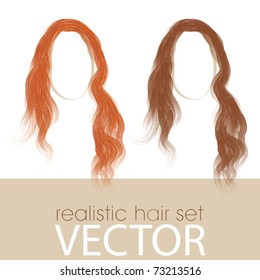 Vector Isolated Hair Set