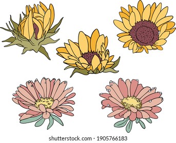 Vector isolated hand drawn flowers