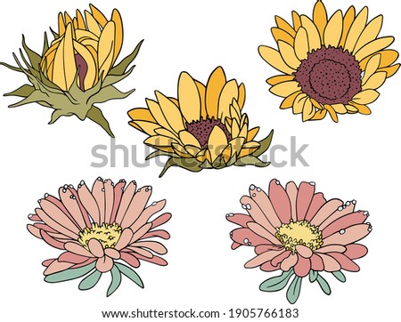 Vector isolated hand drawn flowers