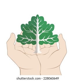Vector isolated hands holding paper tree, symbolizing nature protection. Transparency was used to create this file. No gradient. 