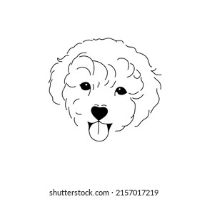 Vector isolated head of shaggy lapdog breathing through its mouth colorless black and white contour line drawing