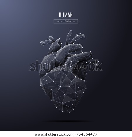 Vector isolated heart low poly from metall wireframe and points. Polygonal 3D white human organ on dark background. Medicine concept with geometry triangle. Abstract mash line and point origami.