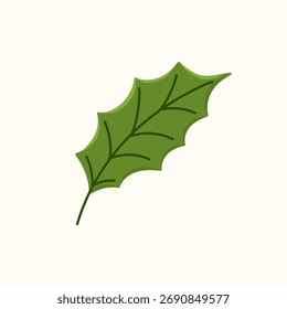Vector isolated holly leaves. Festive Christmas botanical design. Perfect for greeting cards, wrapping paper, seasonal design.