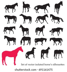 Vector isolated horses silhouettes standing, trotting and galloping in black color on white background