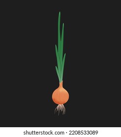 Vector isolated icon of bulb onion vegetable. Yellow onion grow underground cartoon illustration.