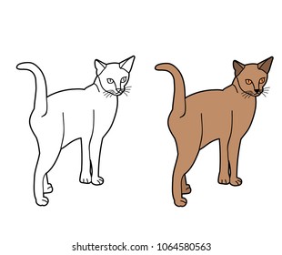 vector, isolated, icon, cat, sketch on white background