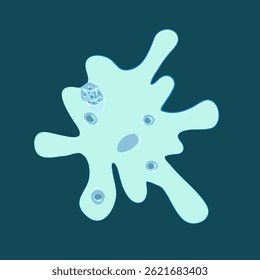 Vector isolated illustration of amoeba proteus on a white background. Studying the structure of an amoeba.