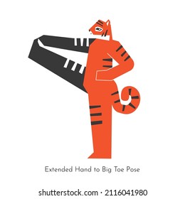 Vector isolated illustration with animal character doing yoga practice - Utthita Hasta Padangustasana. Korean tiger learns Extended Hand To Big Toe Pose. Simplified concept with balancing exercise