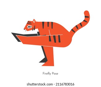 Vector isolated illustration with animal character doing yoga practice - Tittibhasana. Korean tiger learns Firefly Pose. Simplified concept with balancing and strength training on arm