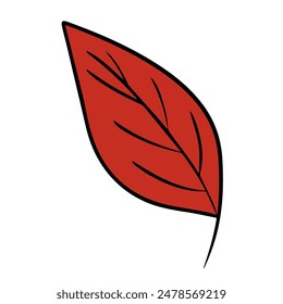 Vector ilustración aislada de una hoja de otoño sobre un fondo blanco.	