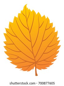 Vector isolated illustration of autumn leaf