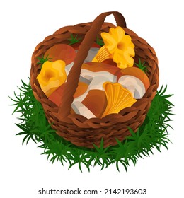 Vector isolated illustration with a basket inside which different mushrooms are white and chanterelles. The concept of edible mushrooms, natural, organic products.
