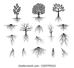 Vector isolated Illustration of big set of trees with roots, forest plant silhouettes. 