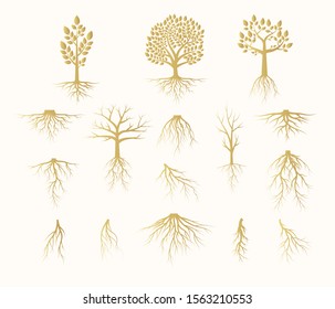 Vector isolated Illustration of big set of golden trees with roots, gold forest plant silhouettes. 