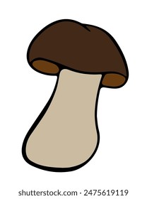 Vector isolated illustration of birch mushroom on a white background.