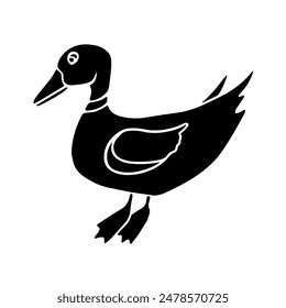 Vector isolated illustration of black and white duck. Poultry.
