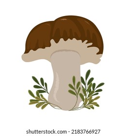 Vector isolated illustration of boletus