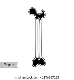 Vector isolated illustration of bone anatomy. Human bone marrow transplant icon. Bone structure details. Internal donor organ symbol. Donation. Healthcare medical poster design