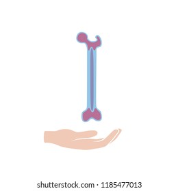 Vector isolated illustration of bone anatomy. Human bone marrow transplant icon. Bone structure details. Internal donor organ symbol. Donation. Healthcare medical poster design
