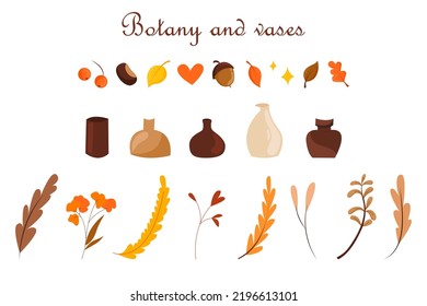 Vector isolated illustration with botanical elements, leaves, flowers, branches, chestnuts and acorns, ceramic vases of different shapes. Elements of design in hand-drawn style. Autumn dried flowers.