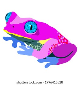 Vector isolated illustration of bright neon pink frog with blue legs and big eyes.