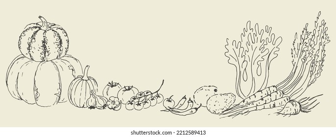Vector Isolated Illustration of a Bundle of Assorted Fall Harvesting fresh Vegetables - Pumpkins, Tomatoes, Avocado, Salad, Carrots, Beet, Garlic