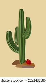 Vector isolated illustration of cactus with red rose lying near. Wild America. Retro cowgirl concept.