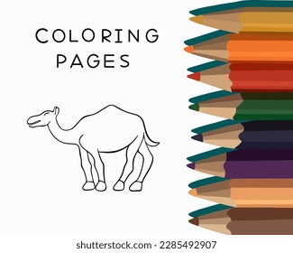 Vektorgrafik einer Camelfarbseite einzeln. Farbbuch für den Kindergarten. Aufgaben für die Vorschulen.