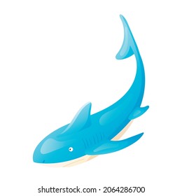 Vector isolated illustration of cartoon sea or ocean predator shark.