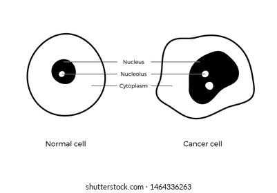Vector isolated illustration of cell structure: normal and cancer. Medical diagram for poster, educational, science and medical use. Cancer icon or logo.