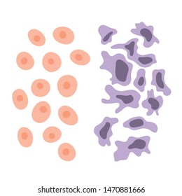 Vector isolated illustration of cell structure: normal and cancer. Medical diagram for poster, educational, science and medical use. Cancer icon or logo.