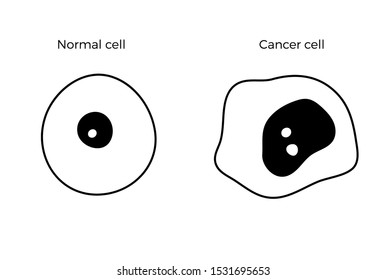 Vector isolated illustration of cell structure: normal and cancer. Medical diagram for poster, educational, science and medical use. Cancer icon or logo.