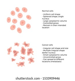 Vector isolated illustration of cell structure: normal and cancer. Medical diagram for poster, educational, science and medical use. Cancer icon or logo.