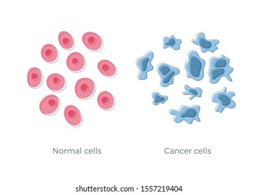 Vector isolated illustration of cell structure: normal and cancer. Medical diagram for poster, educational, science and medical use. Cancer icon or logo.