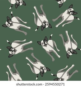 Vector isolated illustration of a chihuahua pattern.