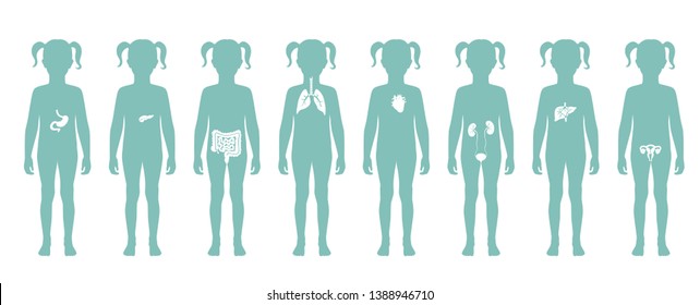 Vector isolated illustration of child internal organs in girl body. Stomach, liver, intestine, bladder, lung, testicle, uterus, spine, pancreas, kidney, heart, bladder icon. Donor medical poster 