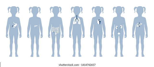 Vector isolated illustration of child internal organs in girl body. Stomach, liver, intestine, bladder, lung, testicle, uterus, spine, pancreas, kidney, heart, bladder icon. Donor medical poster 